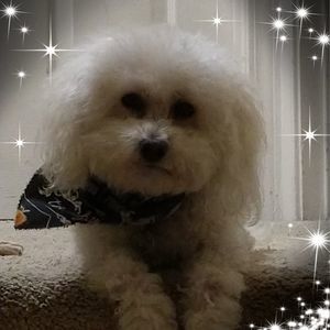 Meet your Posher, Tammy